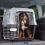 Hundetransportbox Ferplast ATLAS 80 Professional