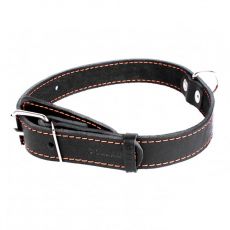 COLLAR Lederhalsband für Hunde - 38 - 50cm, 25mm - schwarz