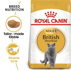 Royal Canin - Futter für British Kurzhaar Katze 400g