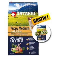 ONTARIO Puppy Medium Lamb & Rice 6,5kg + 0,75kg