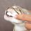 Dentalhygiene für Katzen, Zahnpasta + Zahnbürsten
