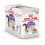 Royal Canin STERILISED in Jelly 12 x 85 g - Gelee in Beutel