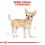 ROYAL CANIN ADULT CHIHUAHUA 12 x 85 g - Beutel