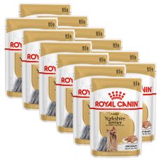 ROYAL CANIN ADULT YORKSHIRE 12 x 85 g - Beutel