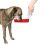 Wassertränke für Hunde aus Kunststoff - 500 ml