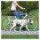 Fahrrad und Jogging Hundeleine