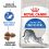 Royal Canin INDOOR 27 - Futter für Katzen lebende im Interieur 4kg