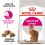 Royal Canin Savour EXIGENT - Futter für heikle Katzen, 400 g